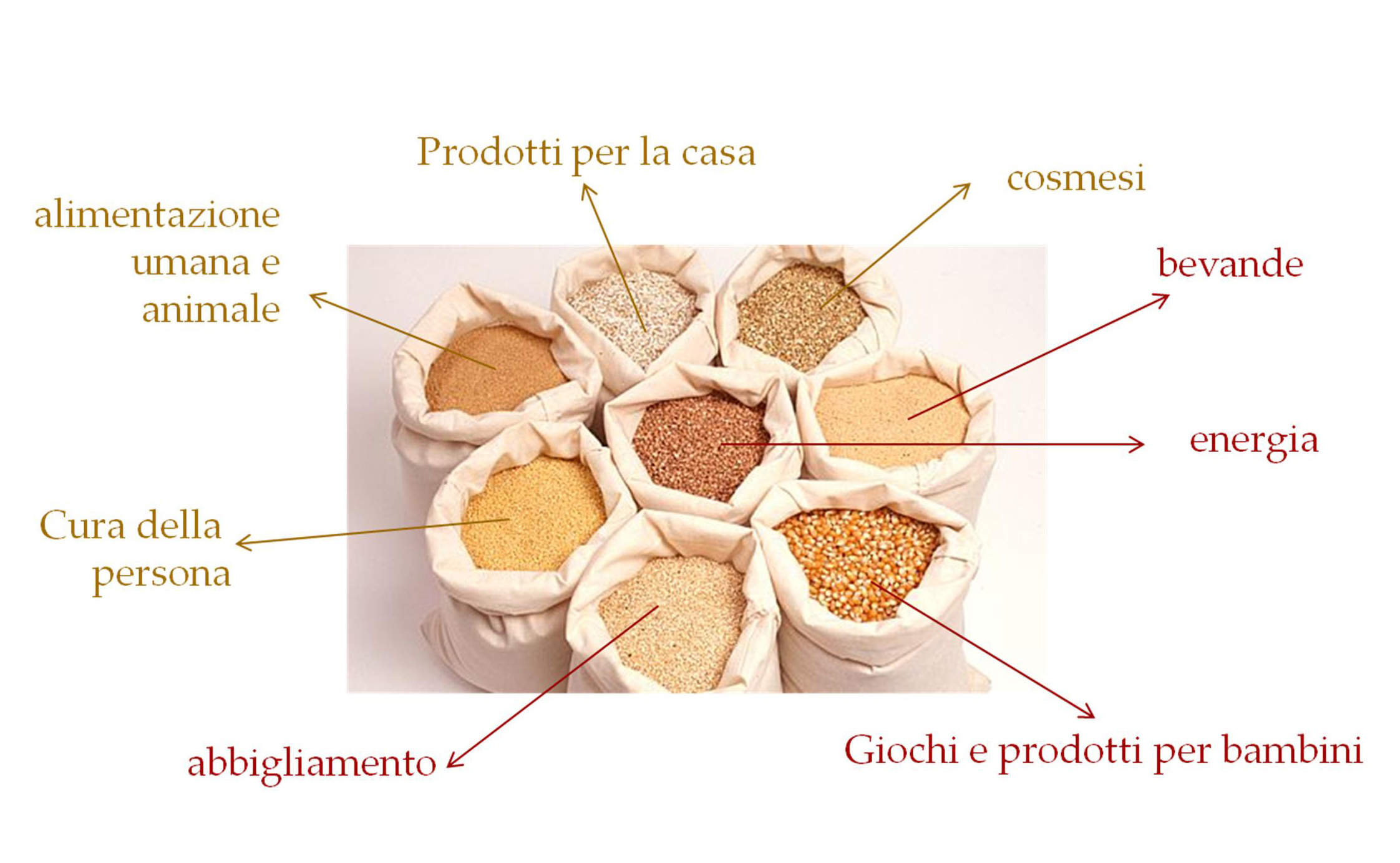 graminacee allergia periodo graminacee allergia periodo