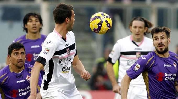 palermo-fiorentina
