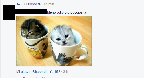 salvini