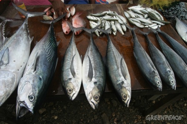 Pacific Fisheries Documentation (Western Pacific Ocean: 2004)
