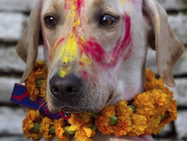 Tukur-Tihar