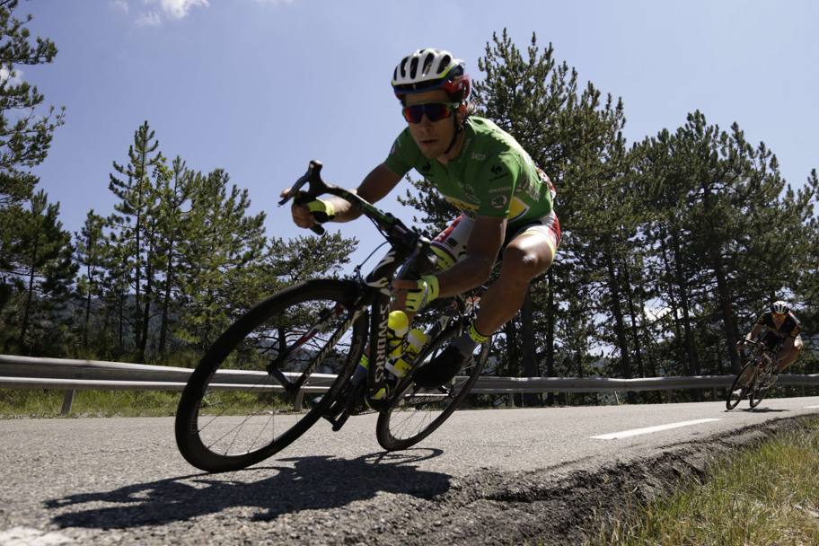 peter sagan