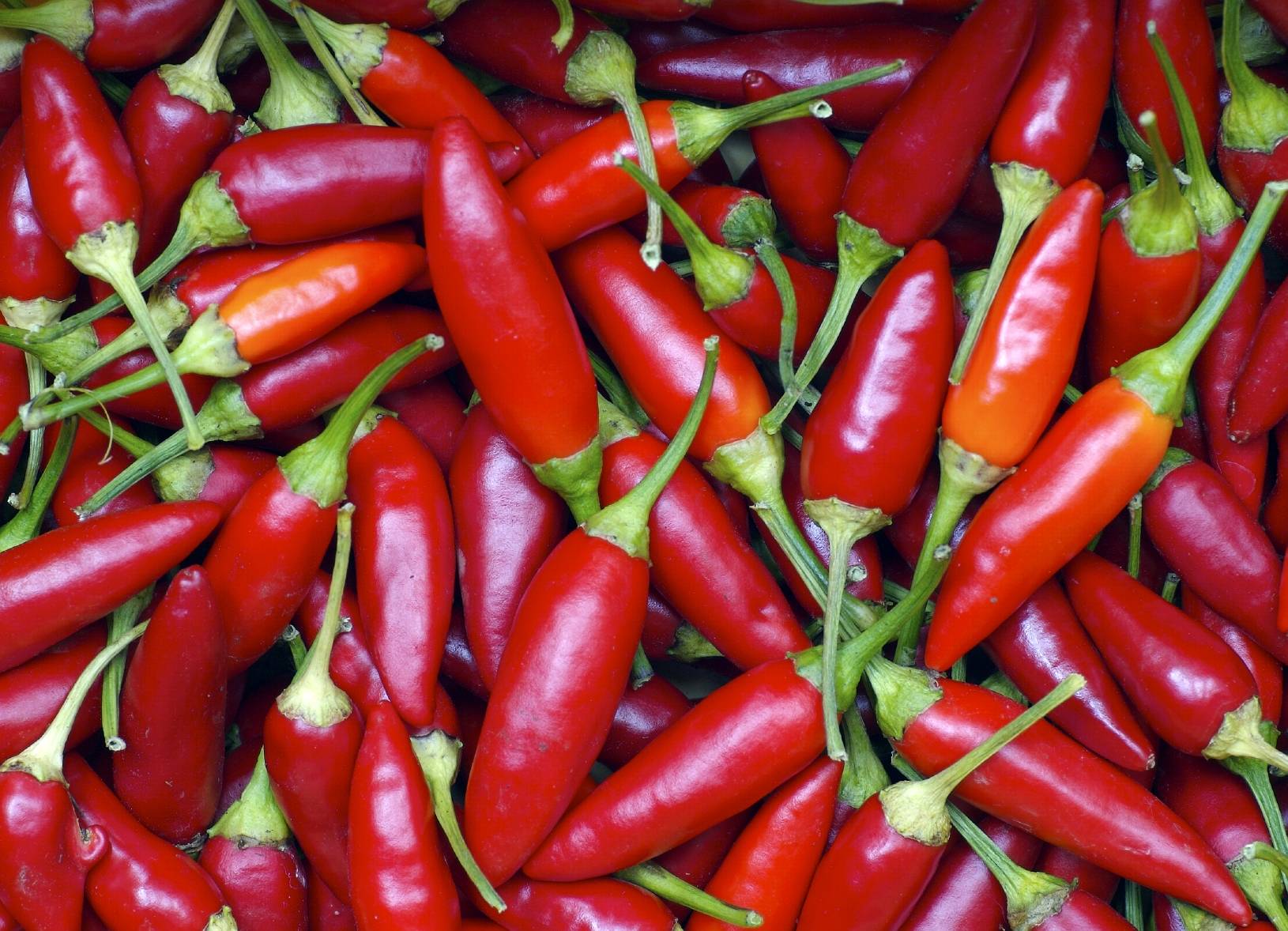 peperoncino