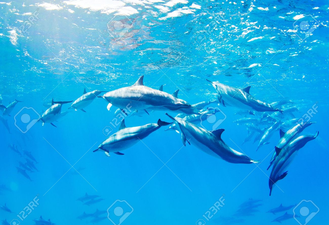 oceano