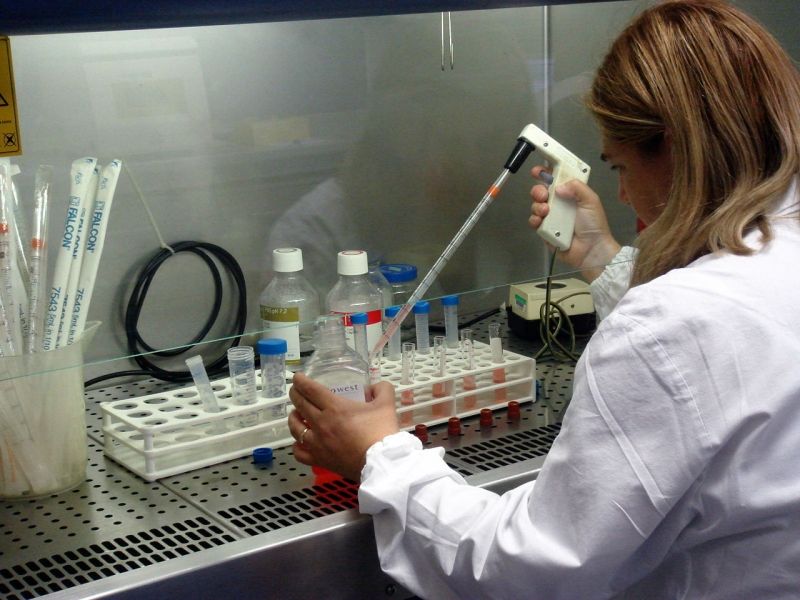 cancro lotta contro il cancro