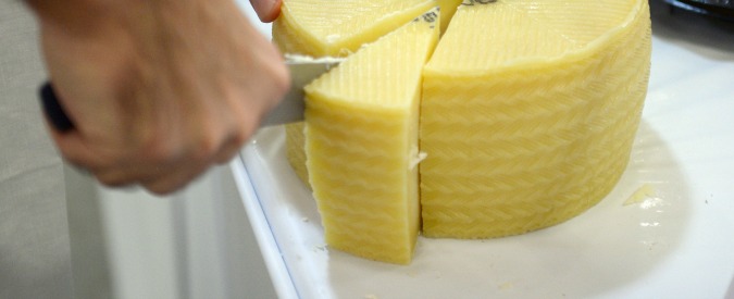 formaggio-675