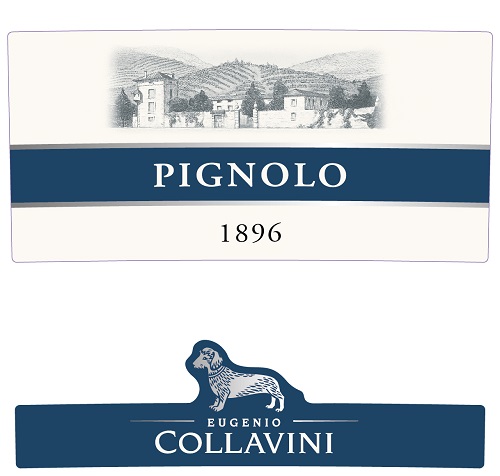 Etichetta%20Pignolo%201896%20fronte