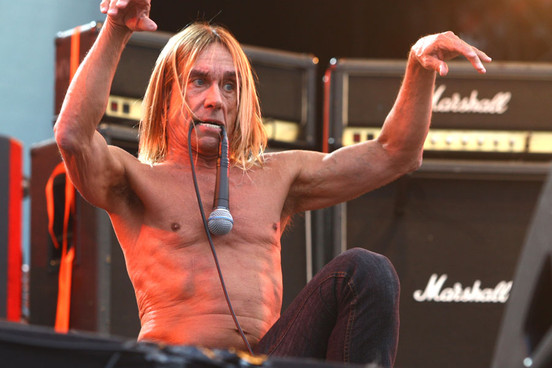 iggy