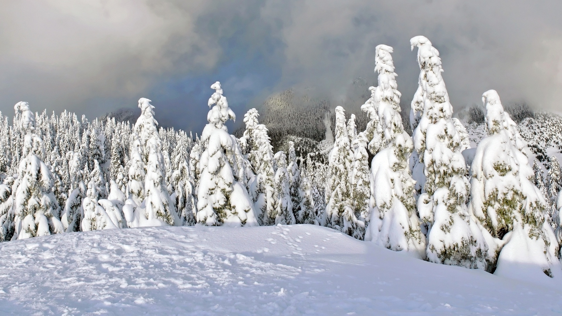 NEVE