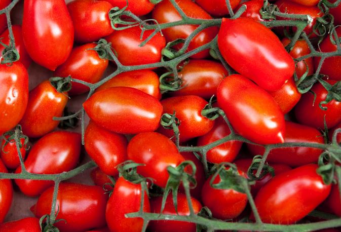 conservare i pomodori conservare i pomodori