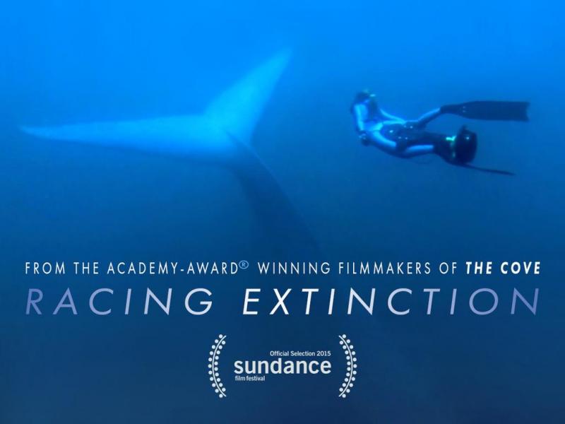 racingextinction