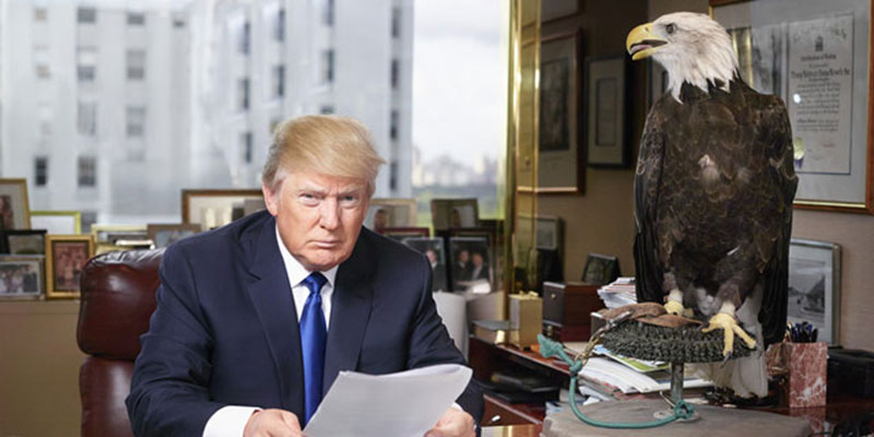 trump Trump, America
