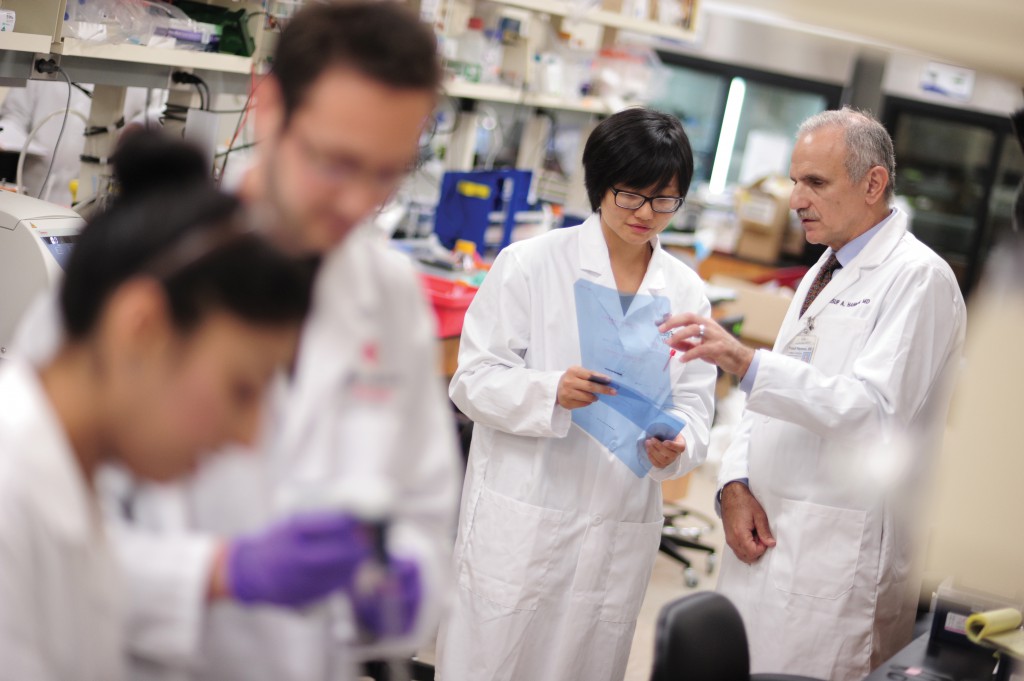 Tumori, realizzato un biochip che riconosce e rimuove le cellule malate Tumori, realizzato un biochip che riconosce e rimuove le cellule malate
