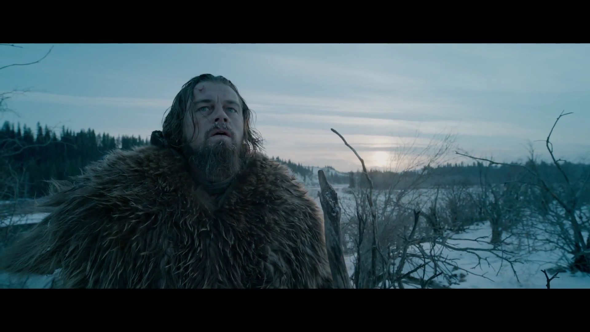 20150717162712!The_Revenant