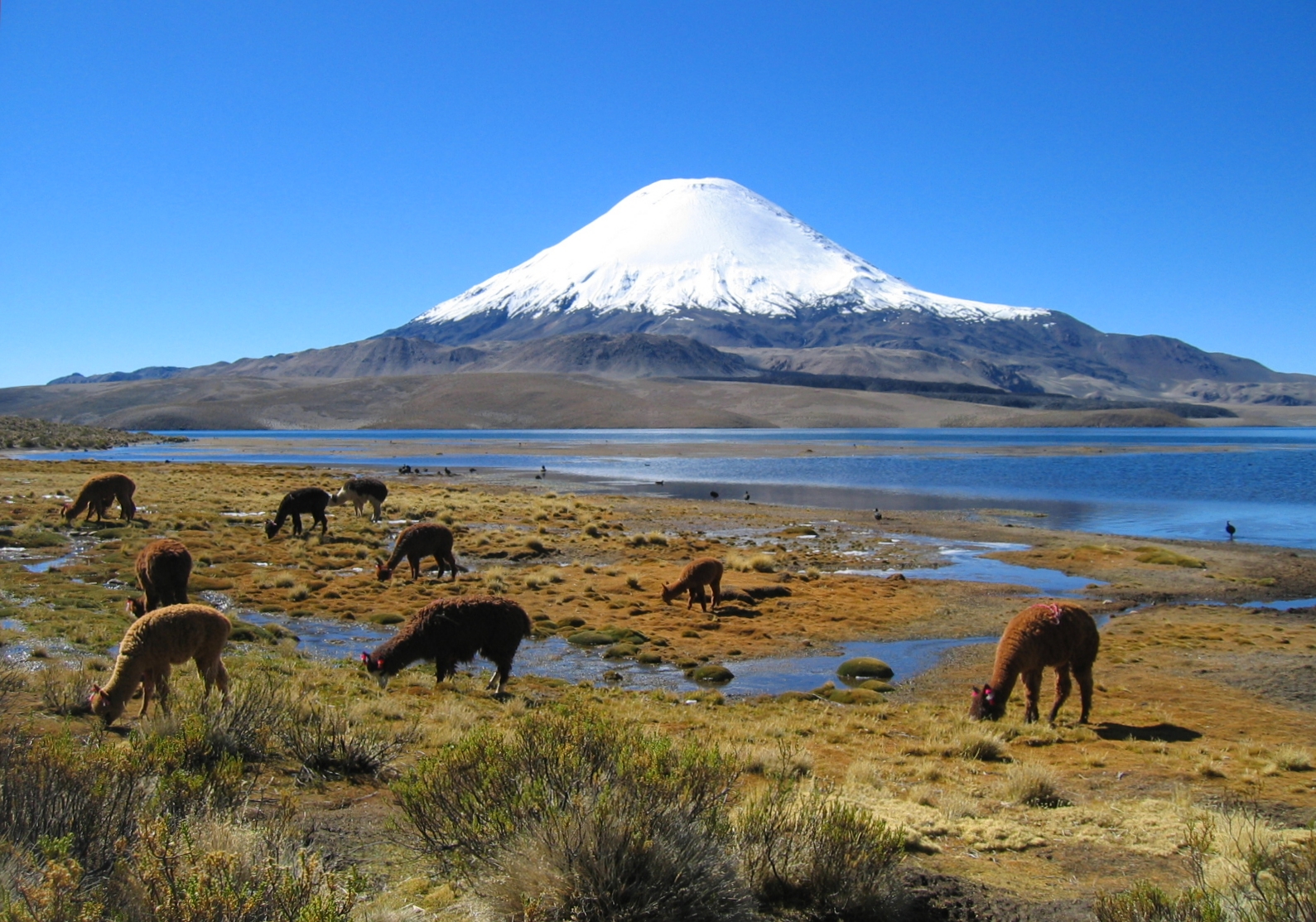 Parinacota_volcano