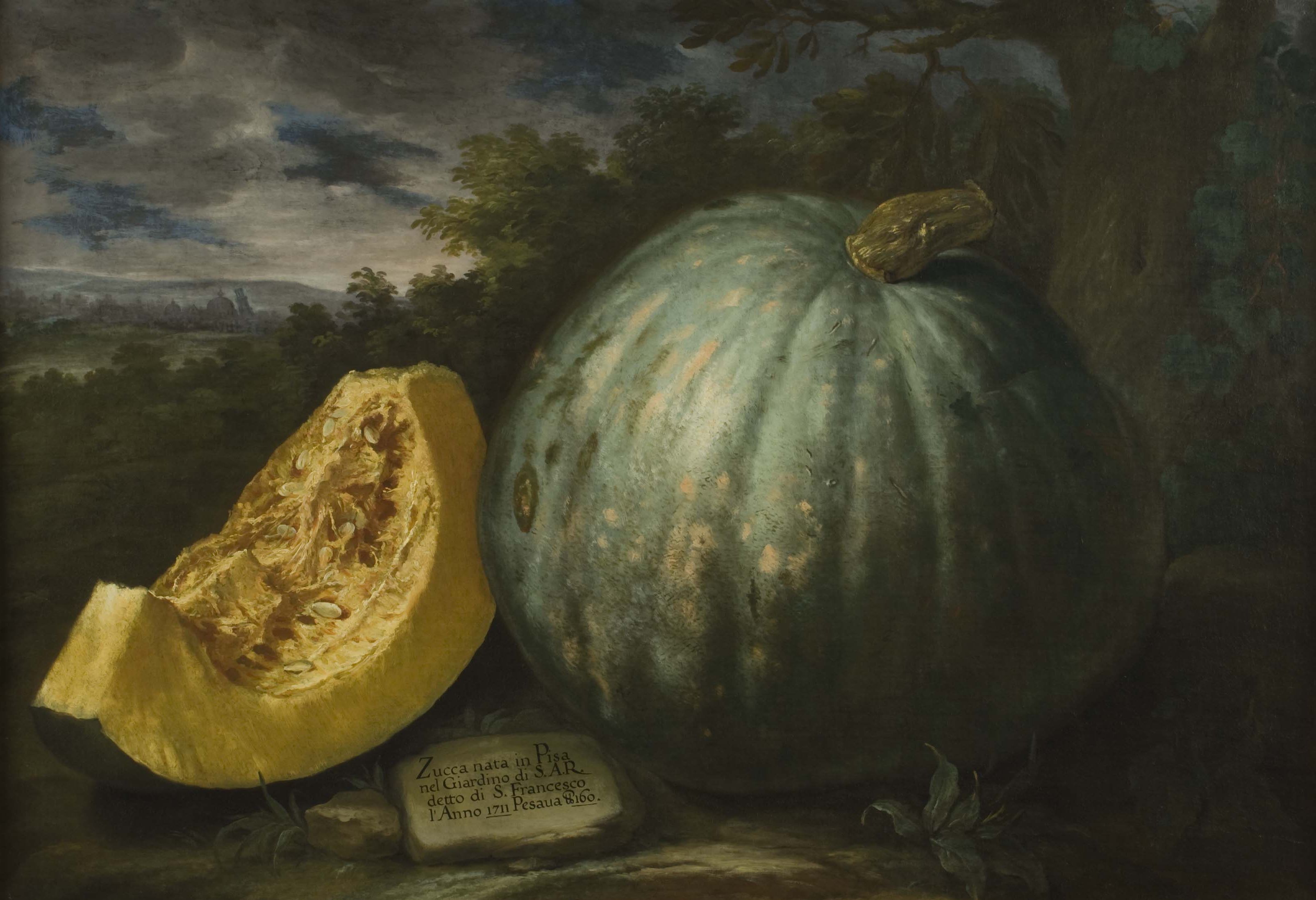 Zucca del giardino granducale di S. Francesco in Pisa 95x139_0