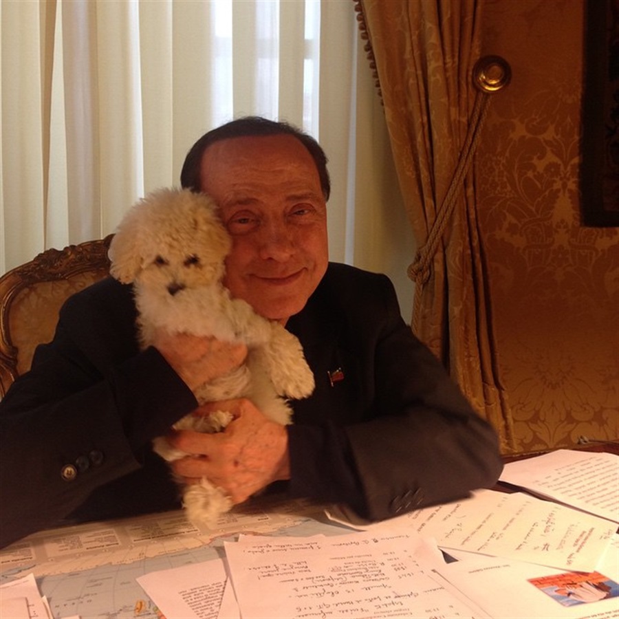 Silvio Berlusconi diventa vegetariano: "Basta far soffrire gli animali" Silvio Berlusconi diventa vegetariano: "Basta far soffrire gli animali"