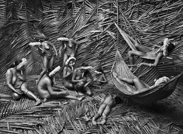 Salgado2
