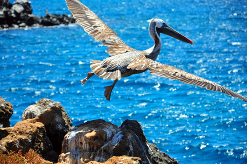 Come organizzare un viaggio in Ecuador