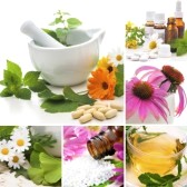 Quale è cura omeopatica Toxoplasmosi