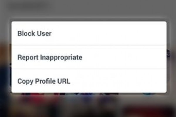 Come eliminare un follower su Instagram