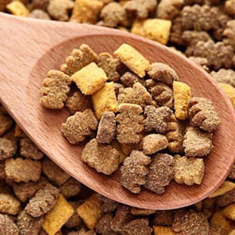 Quanto deve mangiare un gatto di 6 mesi