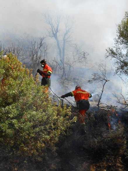 Chi appicca gli incendi in Sardegna
