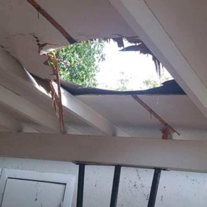 Sente un forte rumore in garage: qualcosa di incredibile è caduto dal cielo