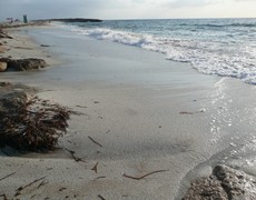 Cosa vedere a Oristano