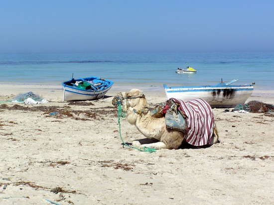 Le spiagge più belle di Djerba