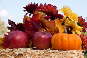 10 idee decorative per l'autunno
