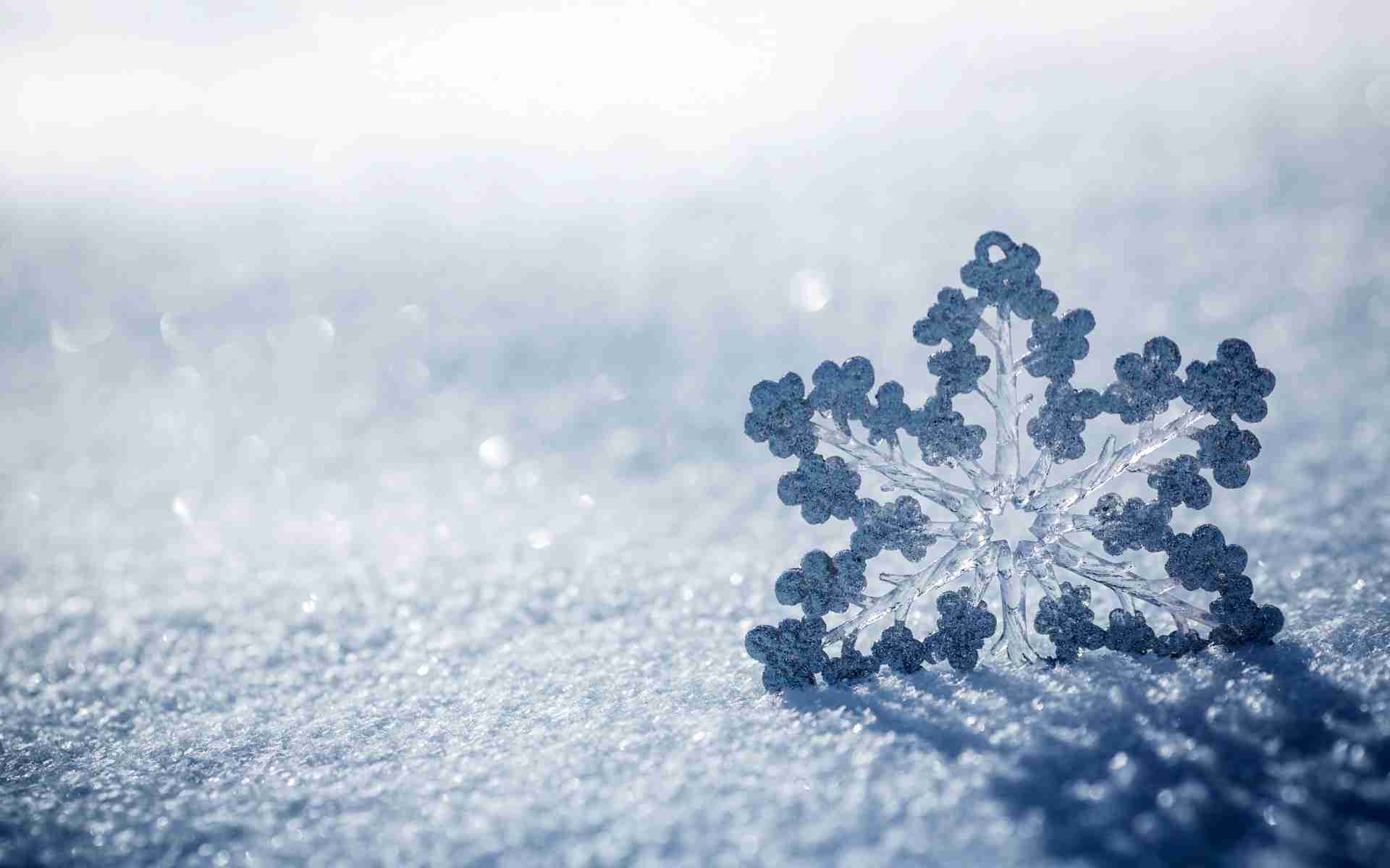 5 consigli per realizzare foto bellissime sotto la neve