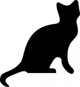 Ecco perché il gatto è il mio animale preferito.