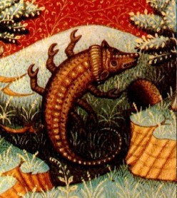 Come comprendere una donna dello Scorpione