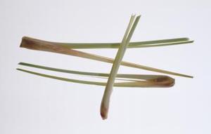 La citronella respinge i mosquitoes?