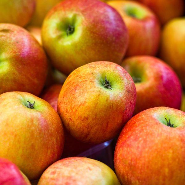 Una lista dei top ten: I dieci alimenti da mangiare