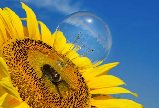 Qual è base imponibile tassazione agro-energie