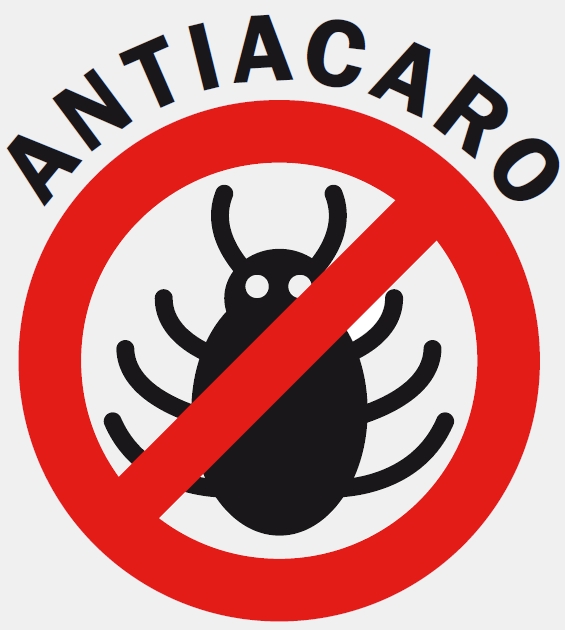 Come combattere gli acari in casa