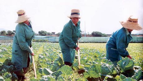 Come avviare un’impresa agricola