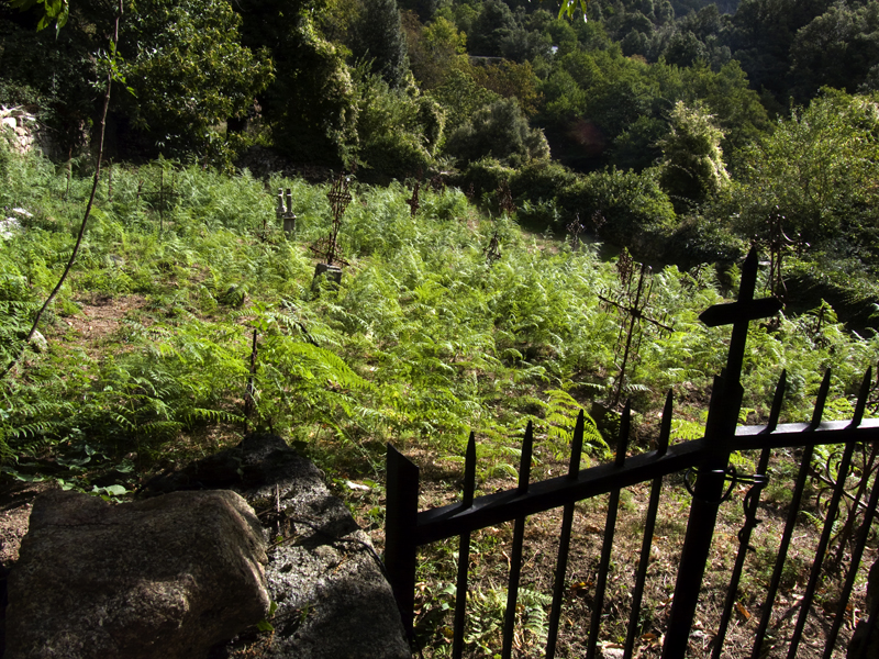 Colombara il cimitero abbandonato Colombara: il cimitero abbandonato