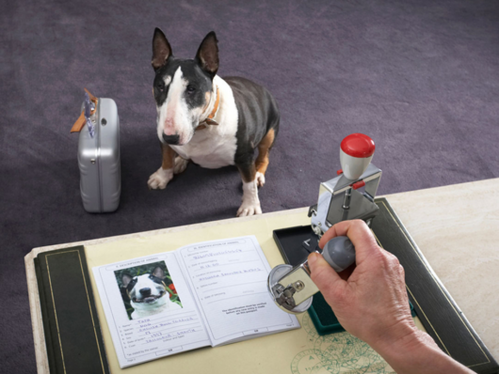 Come fare il passaporto al cane