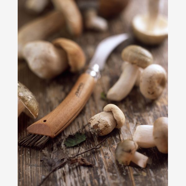 I dieci ingredienti più strani da provare