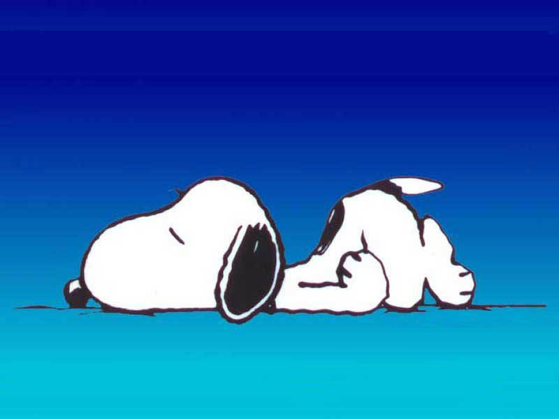 quanto bisogna dormire per stare bene