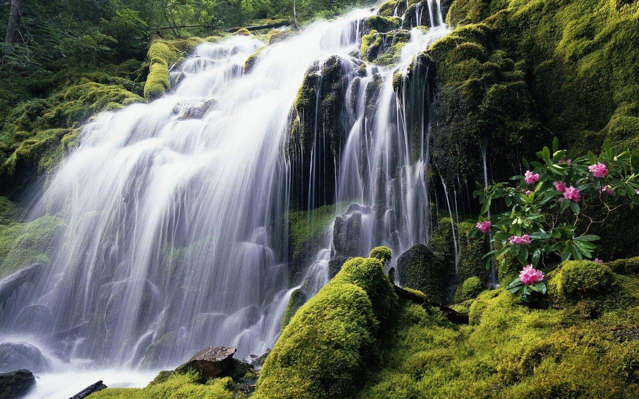 Come fare a fotografare acqua con fotocamera srl