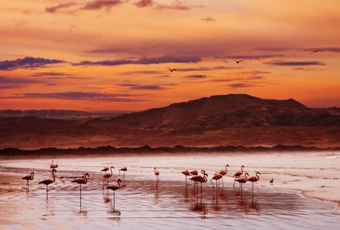 Le spiagge più belle della Namibia