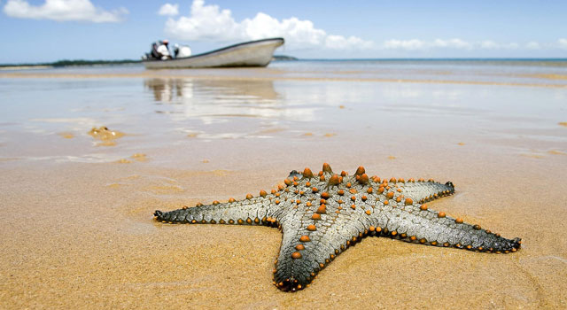Le spiagge più belle del Mozambico