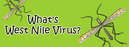 I sintomi del virus West Nile