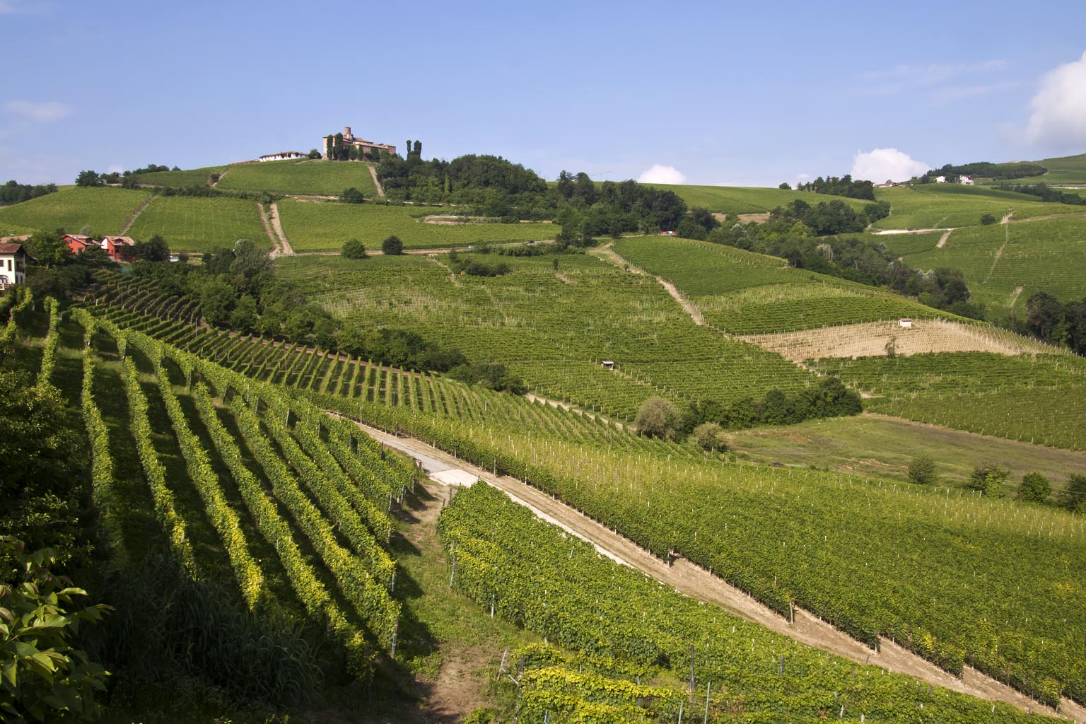 Itinerario enogastronomico nelle Langhe