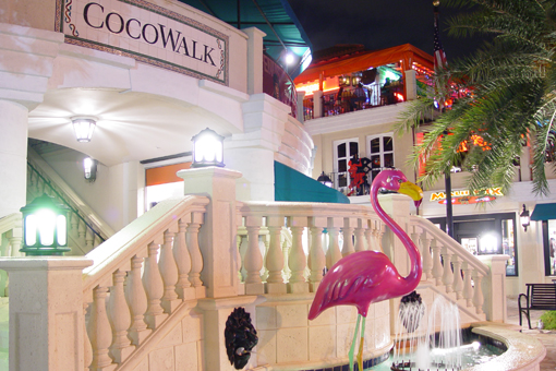 Dove alloggiare a Miami
