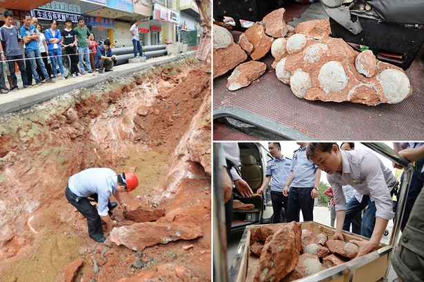Uova di dinosauro trovate durante lavori stradali
